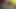 Tesettürlü güzel büyük götlü orta yaşlı seksi kadın büyük yarağa biniyor.