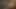 Amcık yalayan amcık sikişiyor dildo çiftlikte sikiliyor