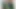 Ateşli Hintli ev hanımı sari ve desi oral seks