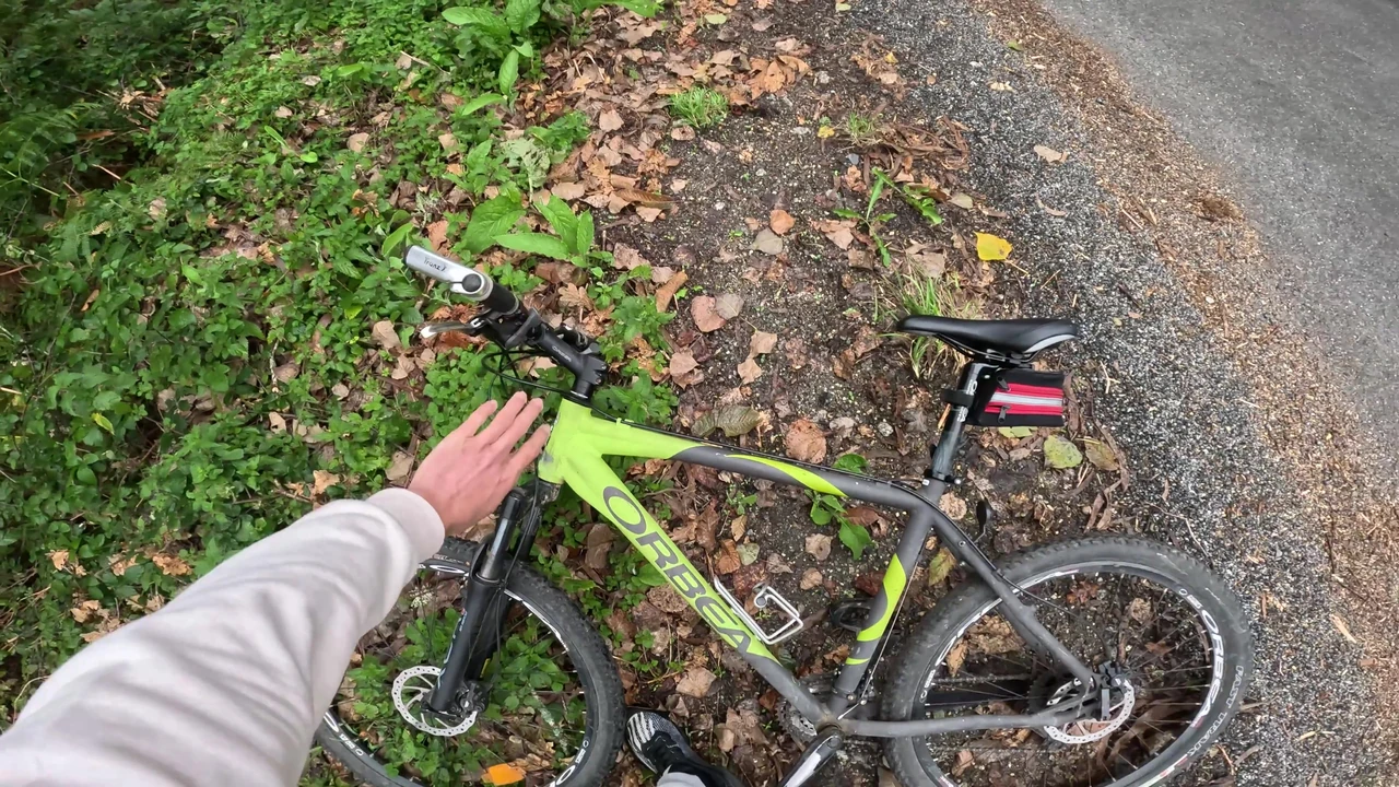 I surprise a stranger girl in the forest when I jerk off and fuck her