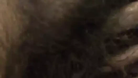 Wifes kıllı kedi oyuncak üzerinde kanepe