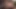 Kıllı amcıklı ve kahverengi saçlı bir latin ile ırklararası porno amcığını kıran büyük zenci yarağıyla sikişiyor