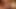 Sürtükler Katsuni ve Avenna Lee yarak paylaşıyor