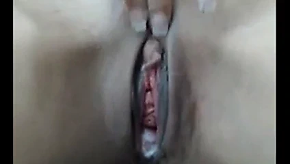 Parmak gevşek kremsi kedi web kamerası