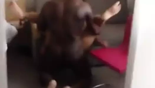 Uk hijabi ev hanımı alma siyah çük içinde otel