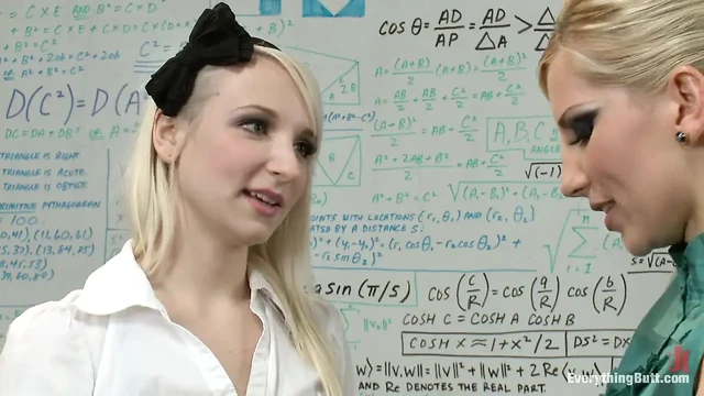 Öğretmenin anal evcil hayvanı