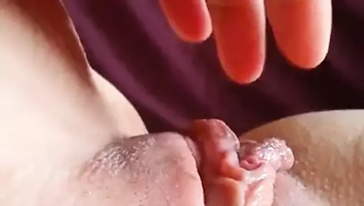 ıslak kedi suyu tadımı