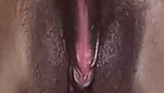 Güney Afrika kedi yakın çekim