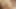 Toplu tecavüz kahrolası ile latina genç tranny gaby lins