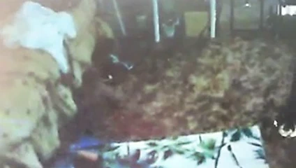 Web kamerasında seksi amatör