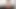 Tgirls xxx - muhteşem lola morena fantezi kıvrımları ortaya çıkarıyor