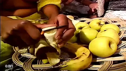 Arabistan'ın Hollandalı cücesi