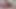 Femboy göt tıkacı tabanları 31 talimatı