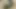 18 Year Old Indian College Boy Hot Sex with Mature Desi Bhabhi Punam