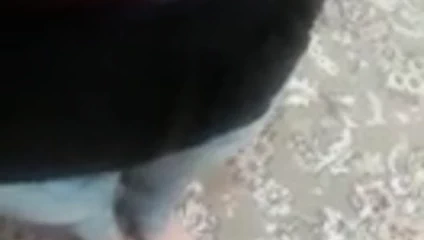 Iran sexy 09900852570