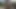 Rubbing flaccid cock and big balls against a tree trunk and pissing on it on a deserted beach