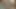 Vahşi dörtlü otel seks