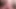 Auntjudysxxx - büyük memeli iri güzel kadın patron bayan Becky ofiste tembel çalışanını sikiyor
