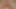Asian step mom thai girl Nursing my small horny dick