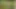 Golf günü megan murkovski ve jessie ames ile yaramazlık yapıyor