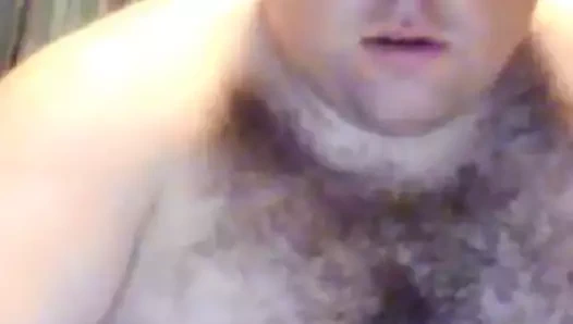 Büyük tombul ayı çekim