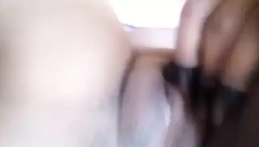 Kedi sürtme gösterme kapalı