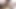 Travesti kocasını yalarken yakalandı