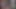 Sevimli kar tavşanı jayla elmas bbc roma majör tarafından analiz edildi!