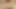 Seksi dövmeli dolgun Alana Kralissa makinenin sahte yarağı için açıyor