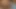 8teenhub - anastasia vorechenko sert sahne