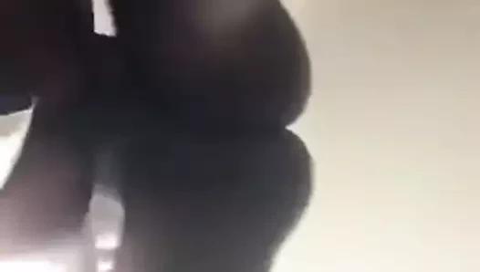 Siyah boğa ırkları