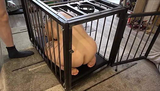 Evet Usta, ben seninim