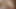 Sıkı götlü genç kız anal seks yapmayı seviyor