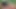 Azgın orta yaşlı seksi kadının vahşi ilk anal macerası: her darbe için yalvarıyor