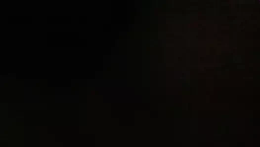 siyah horoz içinde beyaz KEDİ