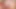 seksi sarita tilki transeksüel ağız tüm yukarı içinde bu zafer deliği