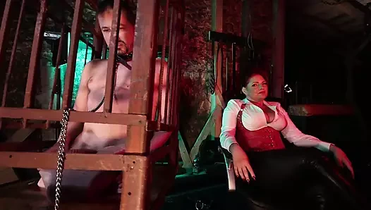 . Köle için alfa aşağılama - sikişmek için sahte amcık