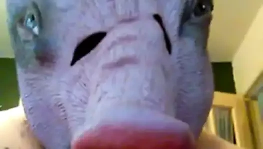 domuzcuk itirafları