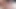Büyük doğal azgın şişman becki kelebek büyük siyah bir kemik alıyor