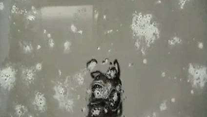 tükürme porno tükürük fetiş