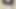2b eşek becerdin (pov version)