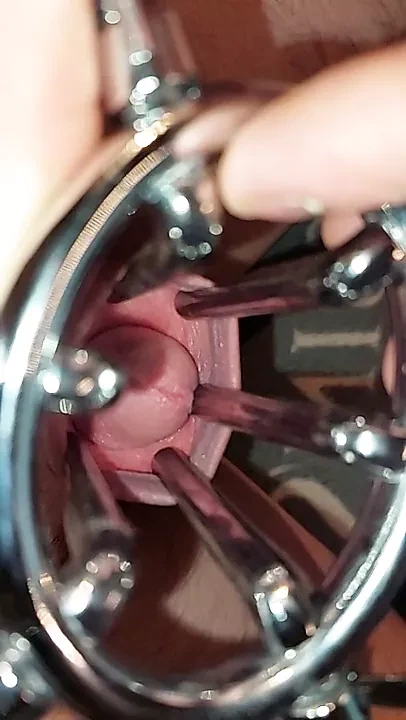 Sünnet derisini geren çıplak kaplan