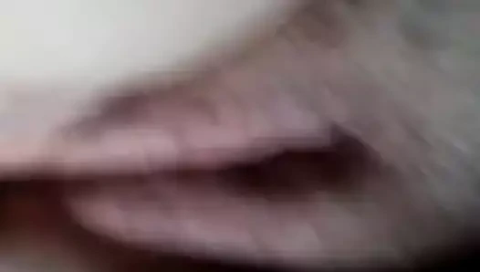 Parmak ona tombul kedi