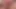 hot pink hozed bang hottie