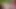 Catsuitfick im Freien