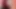 PaintedRose videosu