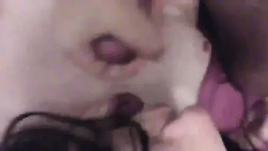 Ev yapımı seks video arasında kedi ve popo kahrolası