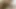 4K. Seksi yüzlü ponpon kız sakso çekiyor ve ağzına boşalıyor