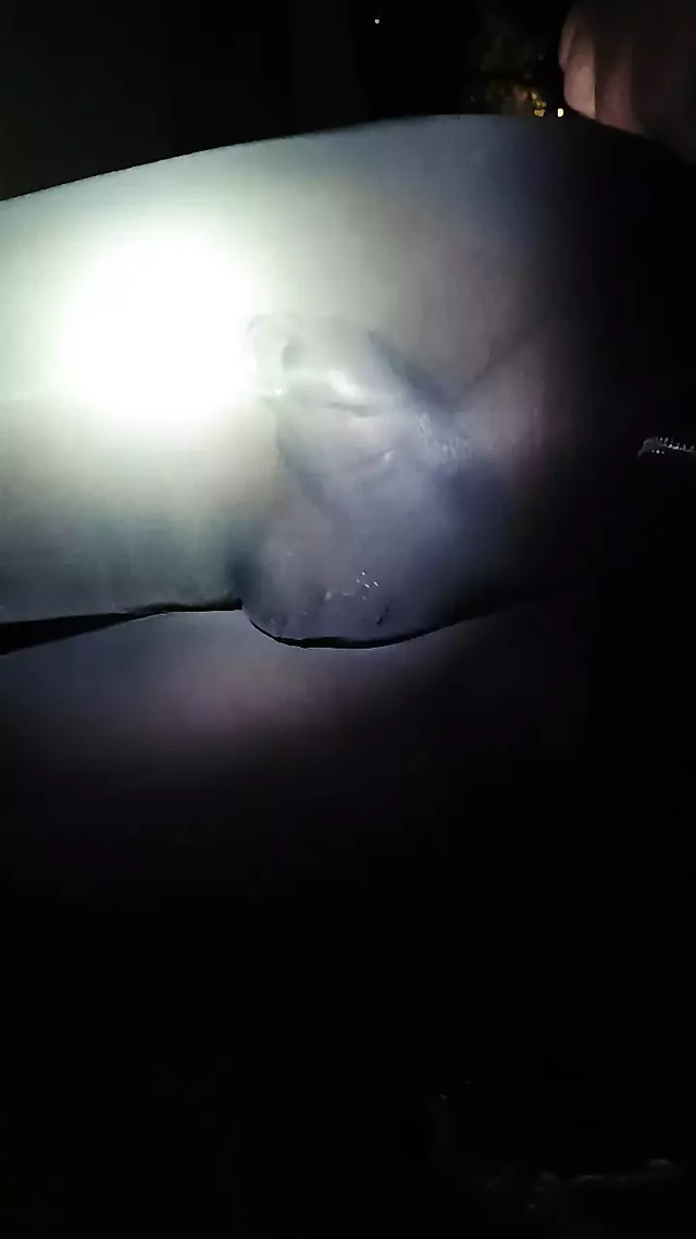 сюда мы идем снова