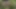 Kayınvalidemin fışkırtmadan önce parkta amına mastürbasyon yaparken izliyorum